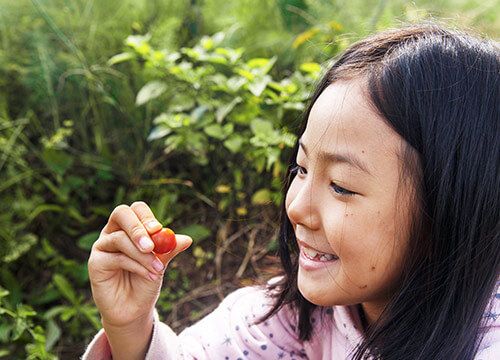 食之有據(jù)